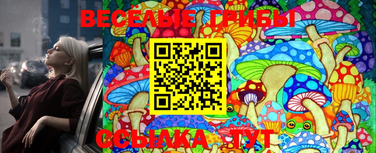 Псилоцибиновые грибы GOLDEN TEACHER  Галлюциногенные грибы GOLDEN TEACHER  Вход с VPN  Белгород 